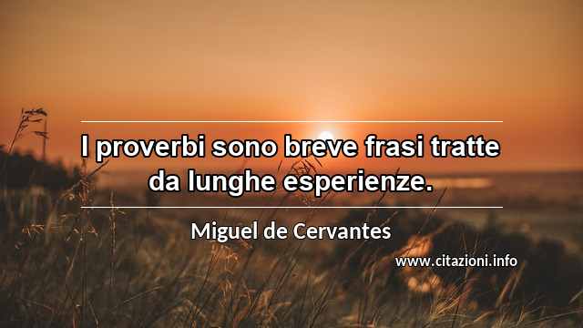 “I proverbi sono breve frasi tratte da lunghe esperienze.”