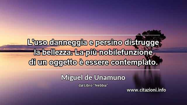 “L'uso danneggia e persino distrugge la bellezza. La più nobilefunzione di un oggetto è essere contemplato.”