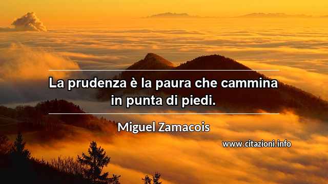 “La prudenza è la paura che cammina in punta di piedi.”