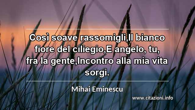 “Così soave rassomigli,Il bianco fiore del ciliegio,E angelo, tu, fra la gente,Incontro alla mia vita sorgi.”