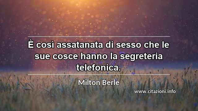 “È così assatanata di sesso che le sue cosce hanno la segreteria telefonica.”