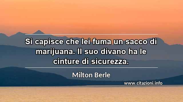 “Si capisce che lei fuma un sacco di marijuana. Il suo divano ha le cinture di sicurezza.”