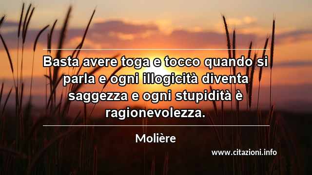 “Basta avere toga e tocco quando si parla e ogni illogicità diventa saggezza e ogni stupidità è ragionevolezza.”