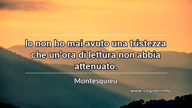 “Io non ho mai avuto una tristezza che un'ora di lettura non abbia attenuato.”