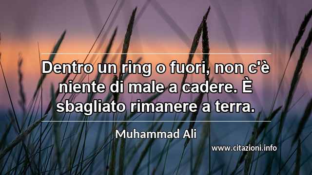 “Dentro un ring o fuori, non c'è niente di male a cadere. È sbagliato rimanere a terra.”