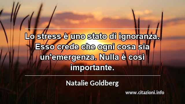 “Lo stress è uno stato di ignoranza. Esso crede che ogni cosa sia un'emergenza. Nulla è così importante.”
