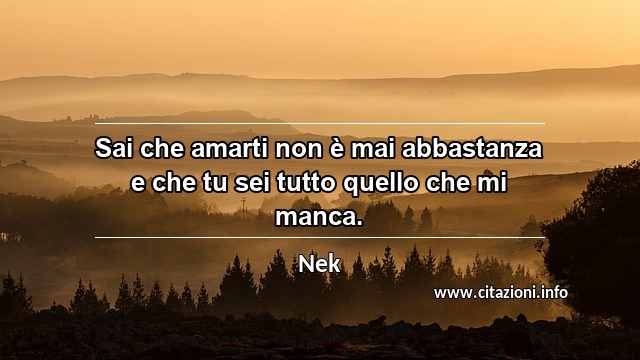 “Sai che amarti non è mai abbastanza e che tu sei tutto quello che mi manca.”