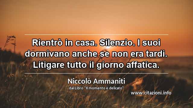 “Rientrò in casa. Silenzio. I suoi dormivano anche se non era tardi. Litigare tutto il giorno affatica.”