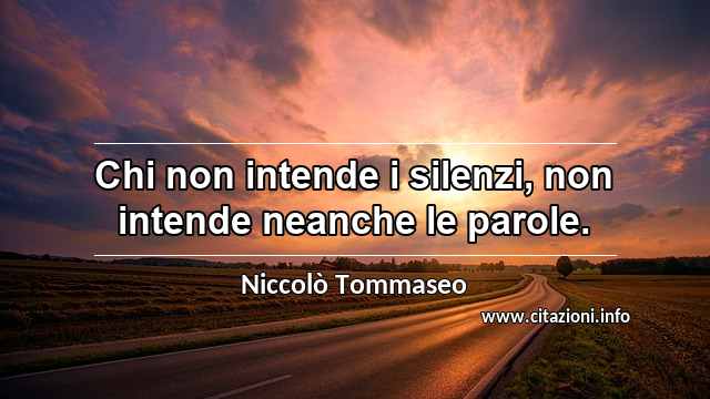 “Chi non intende i silenzi, non intende neanche le parole.”