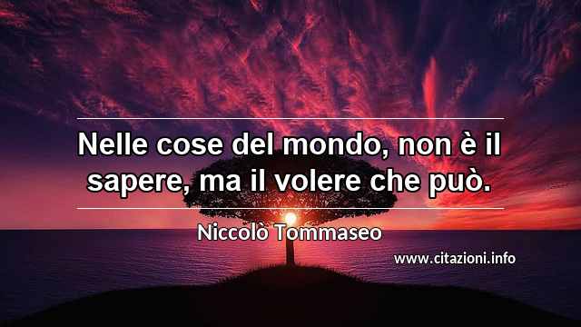 “Nelle cose del mondo, non è il sapere, ma il volere che può.”