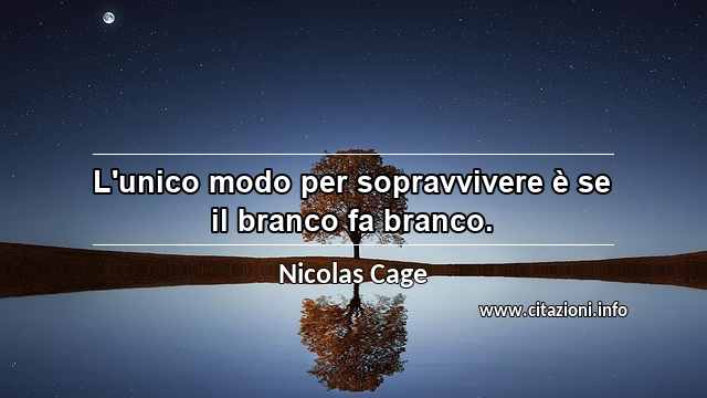 “L'unico modo per sopravvivere è se il branco fa branco.”
