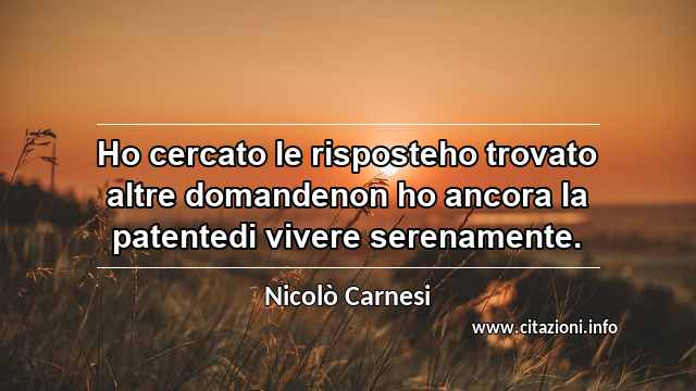 “Ho cercato le risposteho trovato altre domandenon ho ancora la patentedi vivere serenamente.”