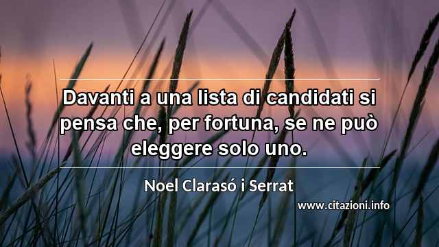 “Davanti a una lista di candidati si pensa che, per fortuna, se ne può eleggere solo uno.”