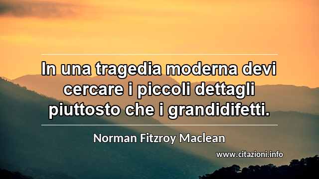 “In una tragedia moderna devi cercare i piccoli dettagli piuttosto che i grandidifetti.”