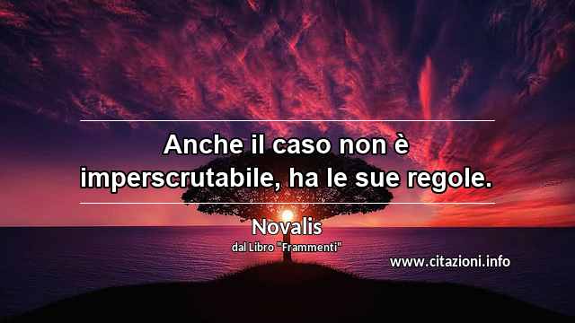 “Anche il caso non è imperscrutabile, ha le sue regole.”