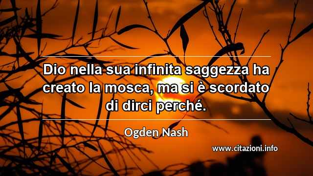 “Dio nella sua infinita saggezza ha creato la mosca, ma si è scordato di dirci perché.”