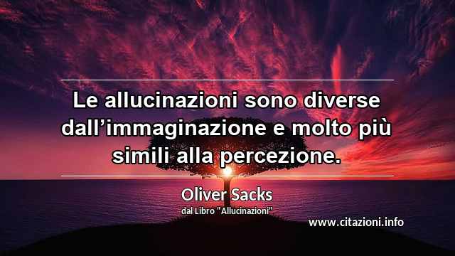 “Le allucinazioni sono diverse dall’immaginazione e molto più simili alla percezione.”
