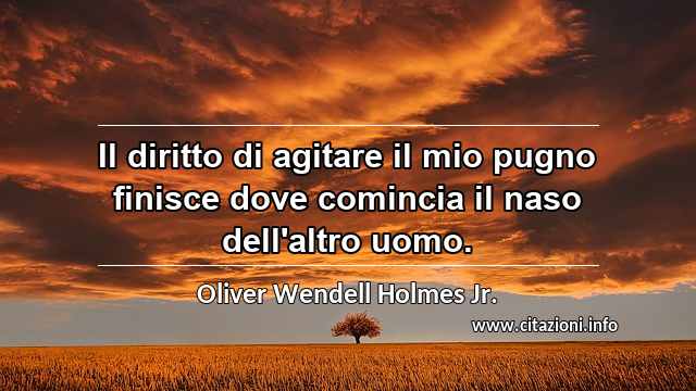 “Il diritto di agitare il mio pugno finisce dove comincia il naso dell'altro uomo.”