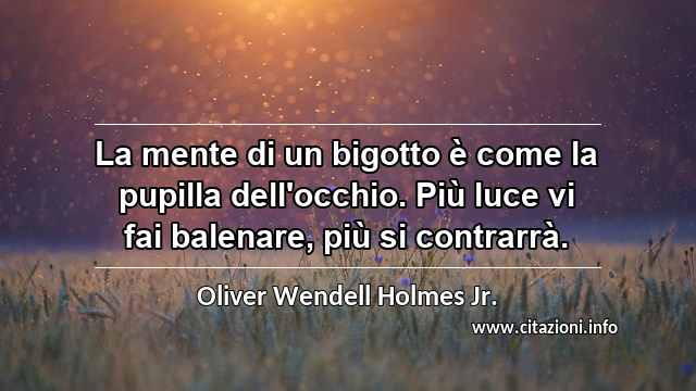 “La mente di un bigotto è come la pupilla dell'occhio. Più luce vi fai balenare, più si contrarrà.”