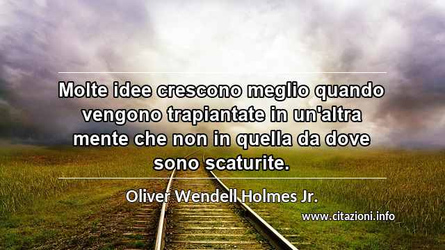 “Molte idee crescono meglio quando vengono trapiantate in un'altra mente che non in quella da dove sono scaturite.”