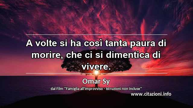 “A volte si ha così tanta paura di morire, che ci si dimentica di vivere.”
