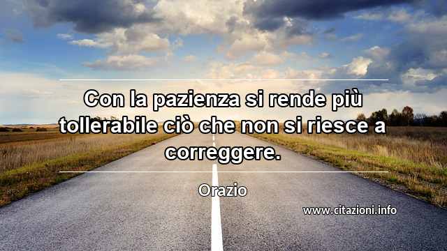 “Con la pazienza si rende più tollerabile ciò che non si riesce a correggere.”