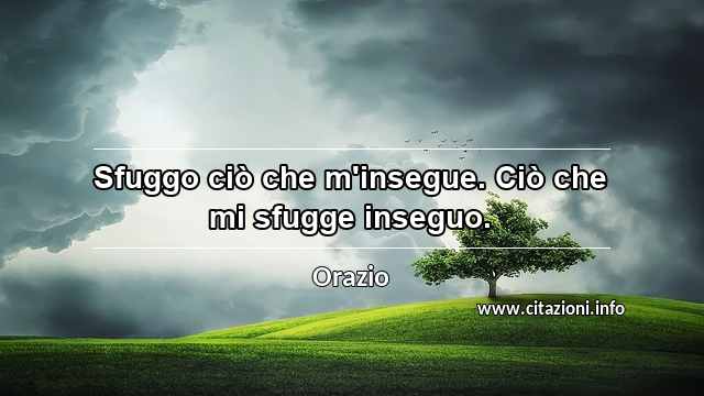 “Sfuggo ciò che m'insegue. Ciò che mi sfugge inseguo.”