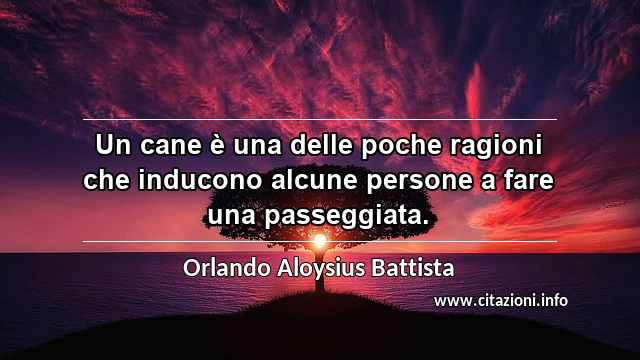 “Un cane è una delle poche ragioni che inducono alcune persone a fare una passeggiata.”