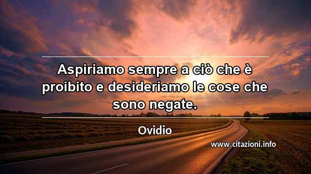 “Aspiriamo sempre a ciò che è proibito e desideriamo le cose che sono negate.”