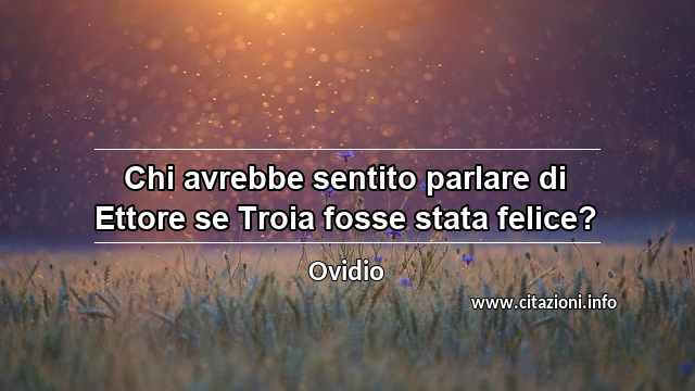 “Chi avrebbe sentito parlare di Ettore se Troia fosse stata felice?”