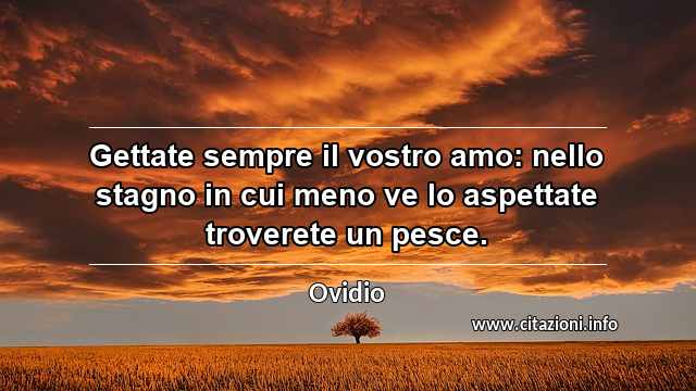 “Gettate sempre il vostro amo: nello stagno in cui meno ve lo aspettate troverete un pesce.”