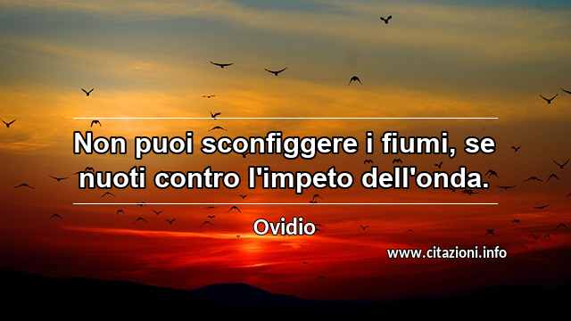 “Non puoi sconfiggere i fiumi, se nuoti contro l'impeto dell'onda.”
