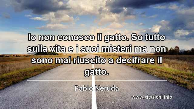 “Io non conosco il gatto. So tutto sulla vita e i suoi misteri ma non sono mai riuscito a decifrare il gatto.”