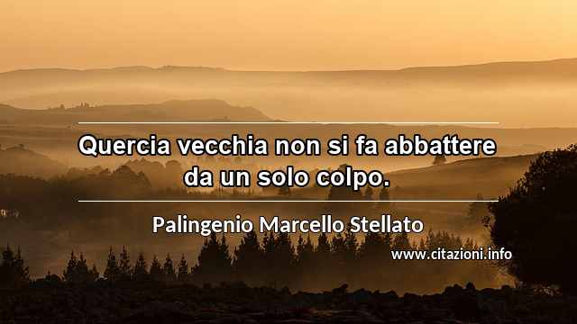 “Quercia vecchia non si fa abbattere da un solo colpo.”