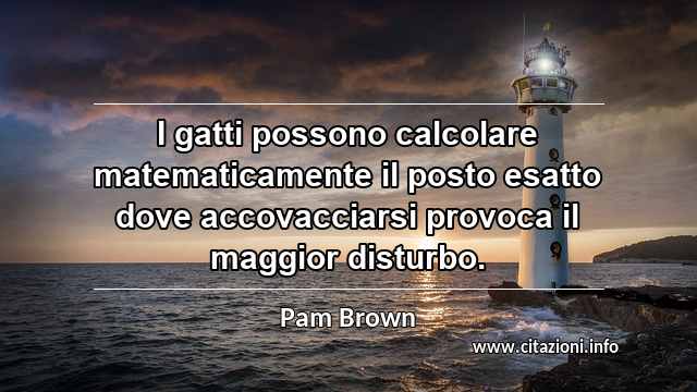 “I gatti possono calcolare matematicamente il posto esatto dove accovacciarsi provoca il maggior disturbo.”