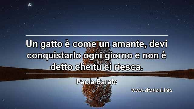 “Un gatto è come un amante, devi conquistarlo ogni giorno e non è detto che tu ci riesca.”