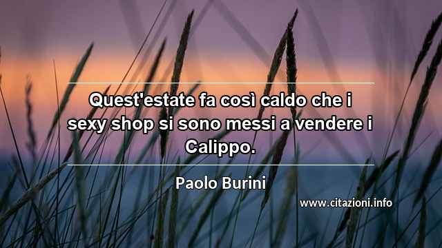 “Quest'estate fa così caldo che i sexy shop si sono messi a vendere i Calippo.”