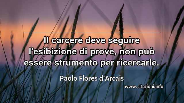 “Il carcere deve seguire l'esibizione di prove, non può essere strumento per ricercarle.”