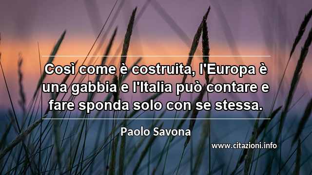“Così come è costruita, l'Europa è una gabbia e l'Italia può contare e fare sponda solo con se stessa.”