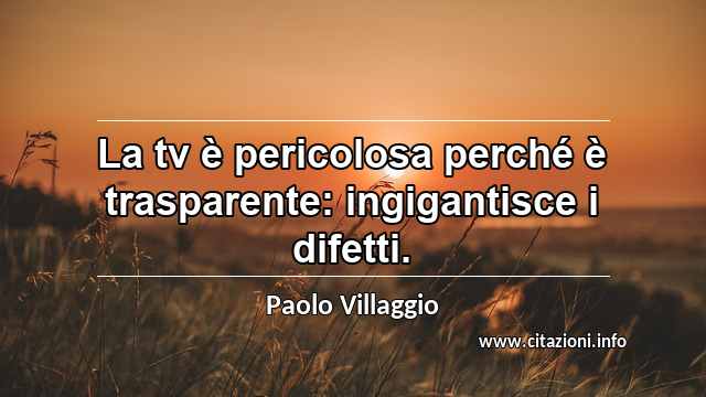 “La tv è pericolosa perché è trasparente: ingigantisce i difetti.”