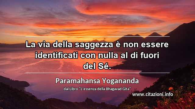 “La via della saggezza è non essere identificati con nulla al di fuori del Sé.”