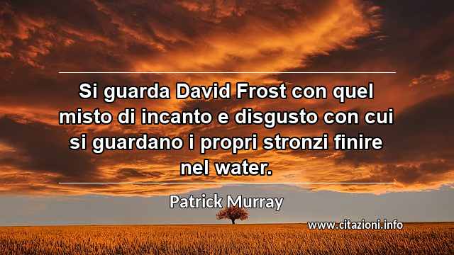 “Si guarda David Frost con quel misto di incanto e disgusto con cui si guardano i propri stronzi finire nel water.”