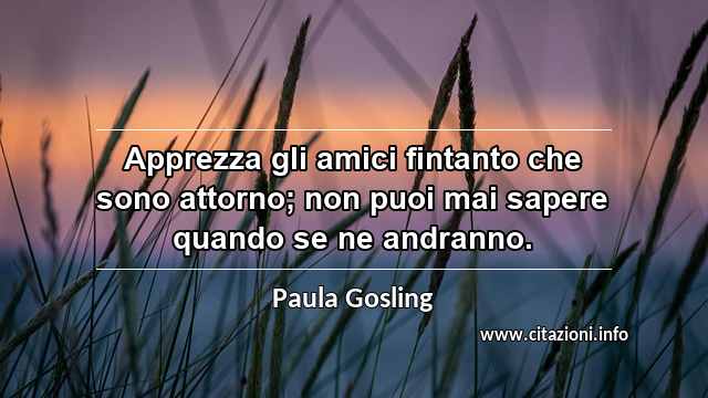 “Apprezza gli amici fintanto che sono attorno; non puoi mai sapere quando se ne andranno.”