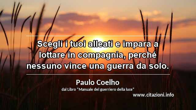 “Scegli i tuoi alleati e impara a lottare in compagnia, perché nessuno vince una guerra da solo.”