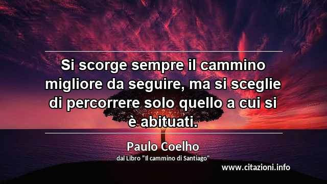“Si scorge sempre il cammino migliore da seguire, ma si sceglie di percorrere solo quello a cui si è abituati.”