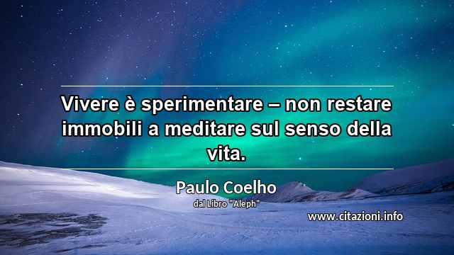 “Vivere è sperimentare – non restare immobili a meditare sul senso della vita.”