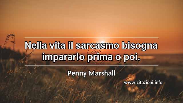 “Nella vita il sarcasmo bisogna impararlo prima o poi.”