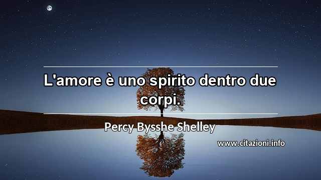 “L'amore è uno spirito dentro due corpi.”