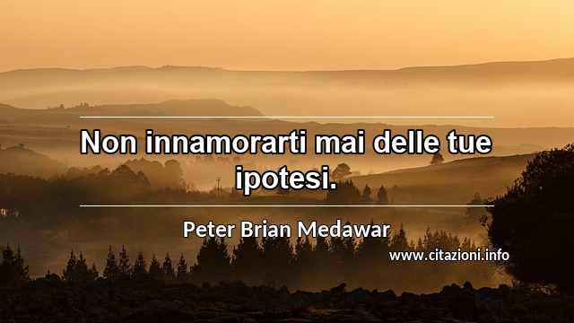“Non innamorarti mai delle tue ipotesi.”