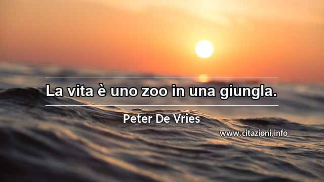 “La vita è uno zoo in una giungla.”